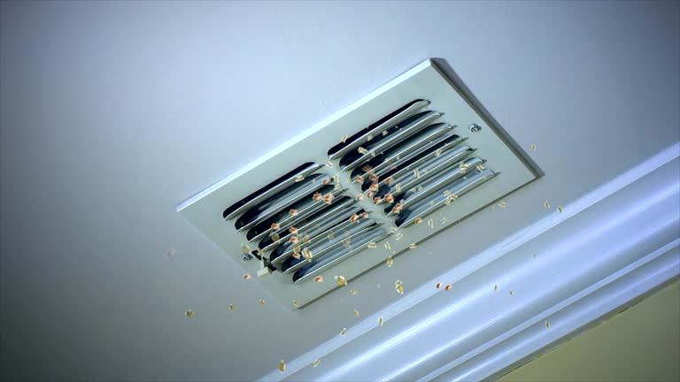 Best Air Duct Cleaning Company Near Me  in Liberty Lake, WA